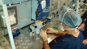 clinica-embriones-destino