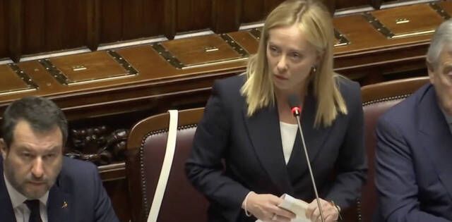 vientres de alquiler son un delito universal