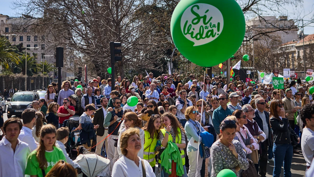 Marcha Sí a la Vida 2024: Miles de personas marchan en Madrid contra ...