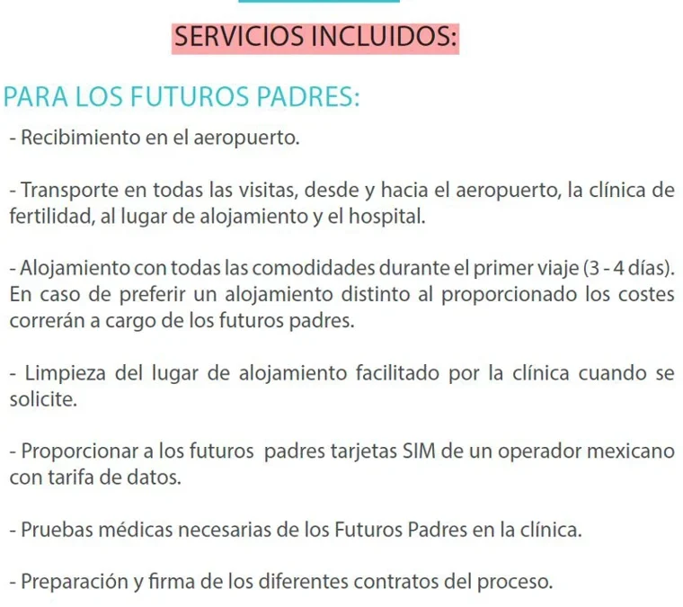 agencia de vientres de alquiler